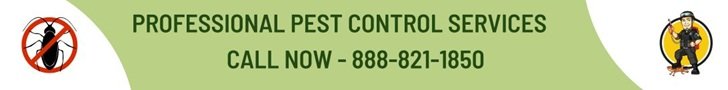 call us now