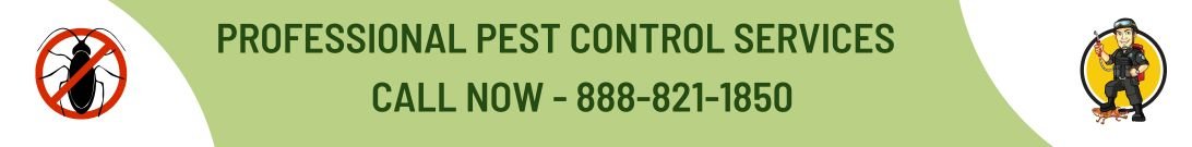 call us now