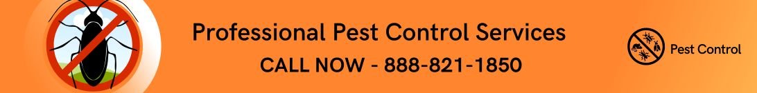 call us now